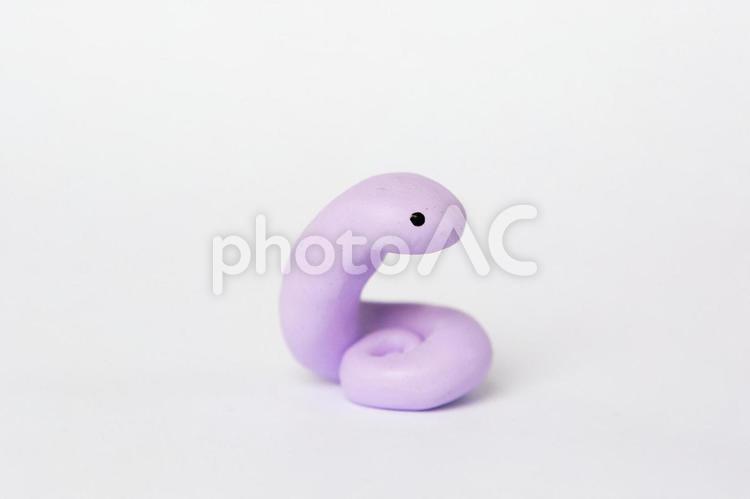 尻尾を丸めている紫の蛇の横顔 蛇,クレイアート,動物の写真素材