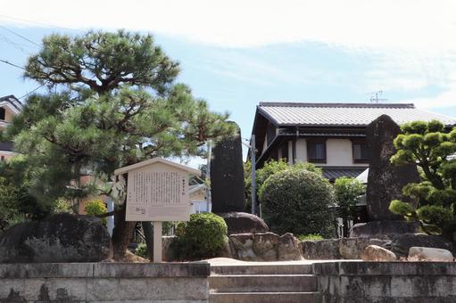 一乗寺下り松 一乗寺下り松 一乗寺下り松,いちじょうじさがりまつ,宮本吉岡決闘之地の写真素材