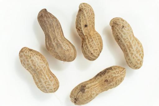 Shelled peanuts on a white background, JPG