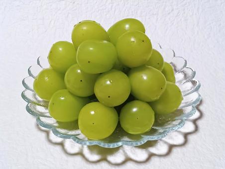 シャインマスカット シャインマスカット,ぶどう,フルーツの写真素材