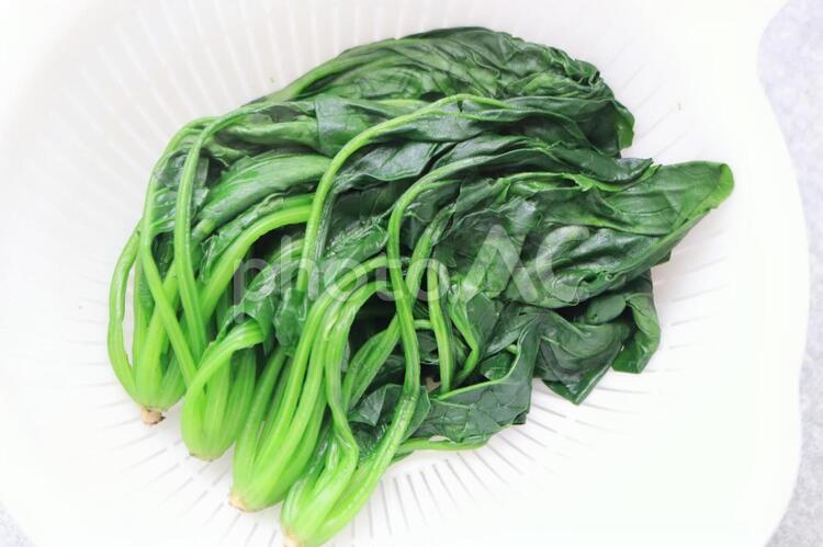 ほうれん草　ゆで野菜 ほうれんそう,茹で野菜,茹でるの写真素材