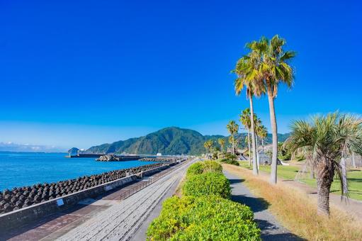静岡県　広野海岸公園の風景 静岡,静岡県,静岡市の写真素材