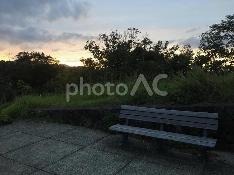 夕暮れのベンチ 木,ベンチ,風景の写真素材