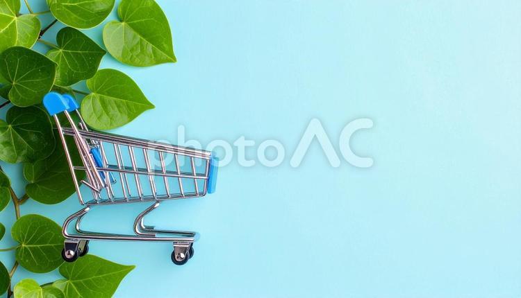 ショッピングのイメージ　ミニチュアカート 買い物,スーパー,ショッピングの写真素材