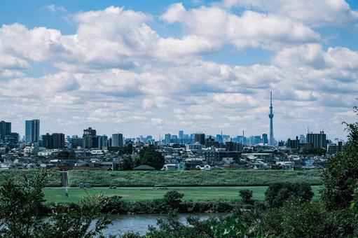 江戸川 江戸川,東京スカイツリー,東京の写真素材