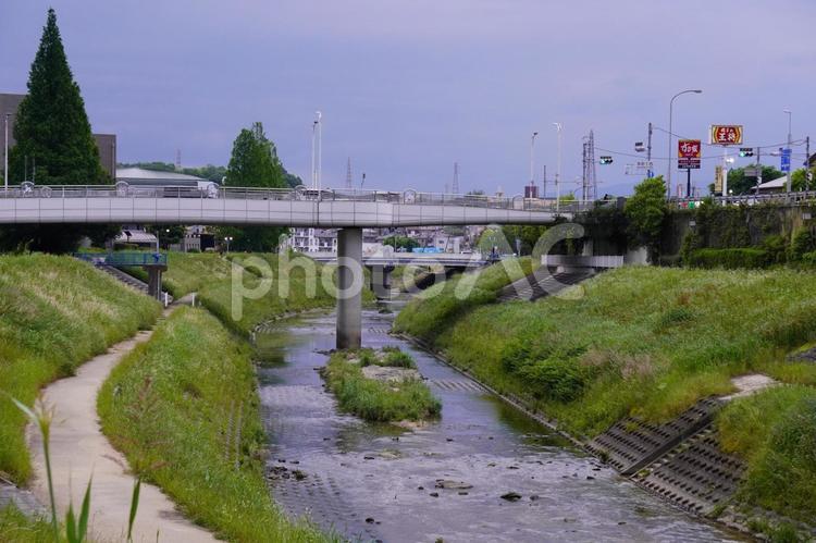 街の中を流れる川 川辺,河川敷,自然の写真素材