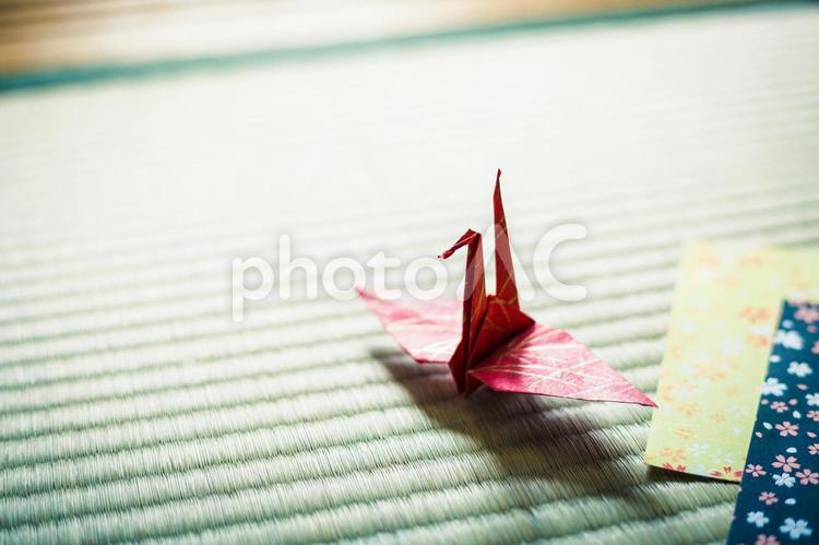 折り紙 和風イメージ おりがみ,アジア,リラックスの写真素材