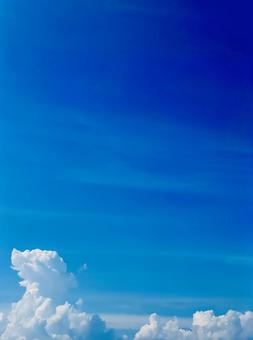 紺碧の空に想う 青空,青,空の写真素材