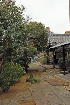 Photo, type of imperial palace where votive picture tablets are hanged, rinzai sect, skyscraper, 