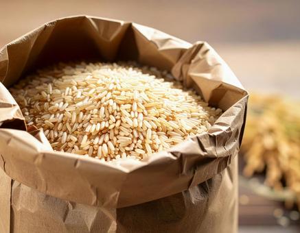 もみ殻付き新米・秋の収穫風景 もみ殻付き新米・秋の収穫風景の写真