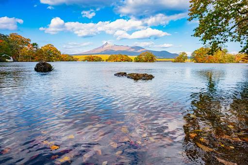 北海道　大沼国定公園の秋 北海道,大沼,函館の写真素材