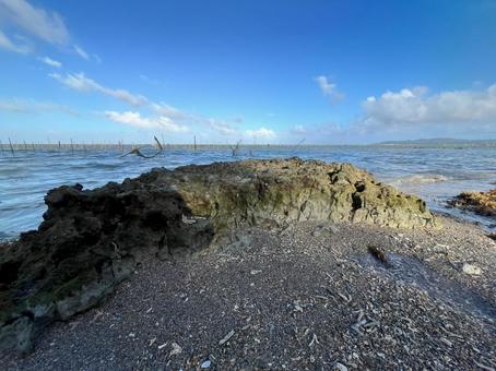 海 海岸 岩礁 海 海岸 岩礁の写真