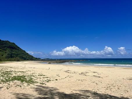 南の島の海の風景 南の島の海の風景の写真