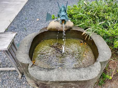 大洗磯前神社 竜の御神水 大洗磯前神社 竜の御神水 大洗磯前神社,御神水,手水の写真素材