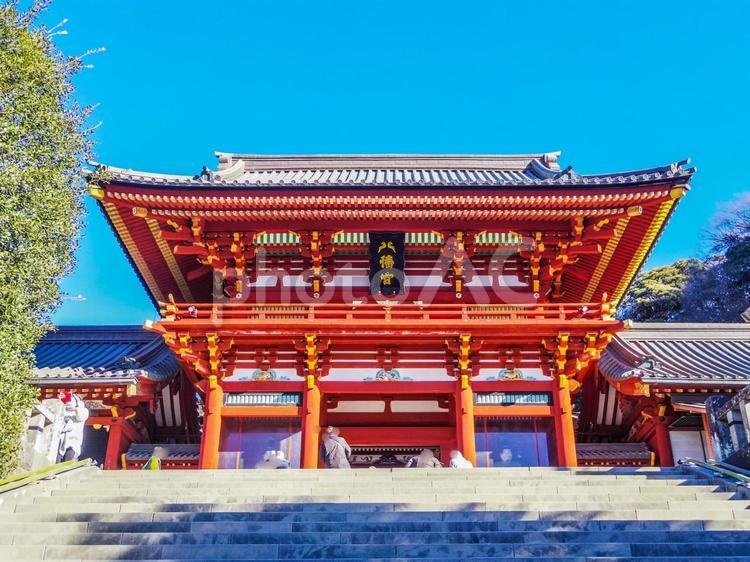 【神奈川県】鎌倉の鶴岡八幡宮 鶴岡八幡宮,鎌倉,鎌倉市の写真素材