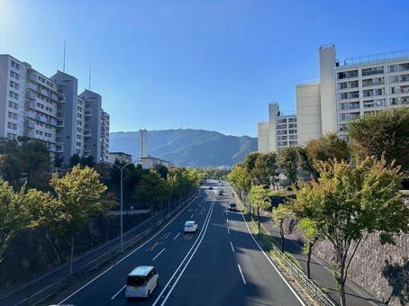 団地 団地の写真