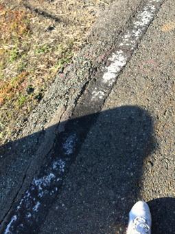 道路 アスファルト 散歩 晴れ 秋 道路 アスファルト 散歩 晴れ 秋の写真