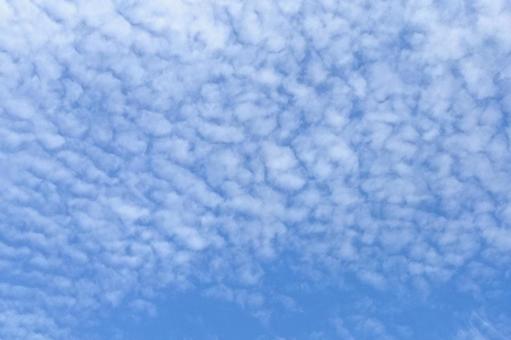 秋の青空 うろこ雲 秋の青空 うろこ雲の写真