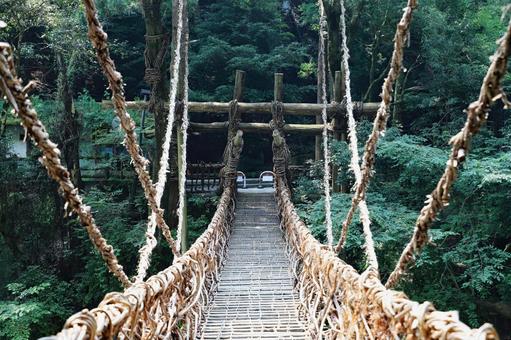 祖谷渓谷かずら橋6 祖谷渓谷かずら橋6の写真