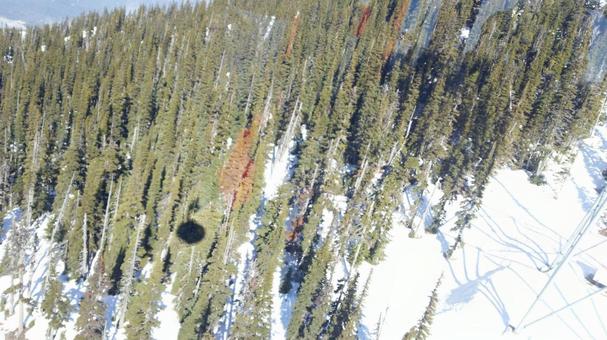 Whistler, Mt., JPG