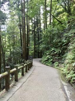 箕面公園 箕面公園の写真
