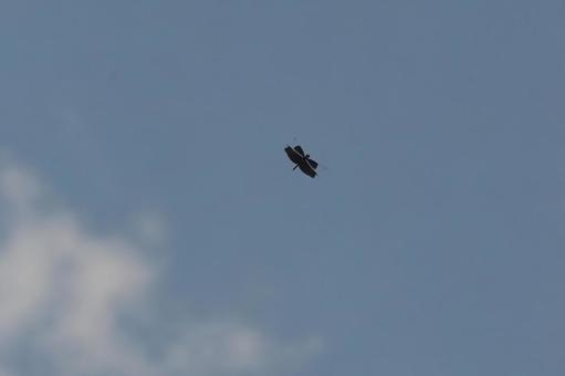 Blue sky, clouds and butterfly dragonfly, JPG