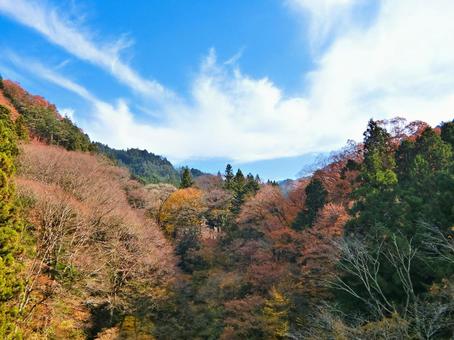 秋の山01 秋,山,紅葉の写真素材