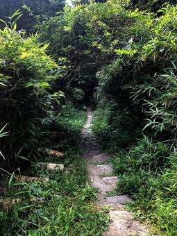 山道1 山道1の写真