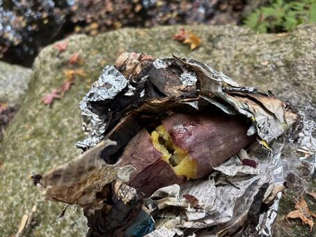焼き芋1 焼き芋,ホクホク,焚き火の写真素材