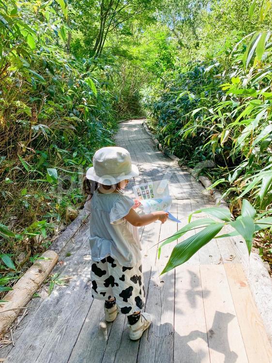 歩きながらパンフレットを見る小さい子 子供,女の子,2歳の写真素材