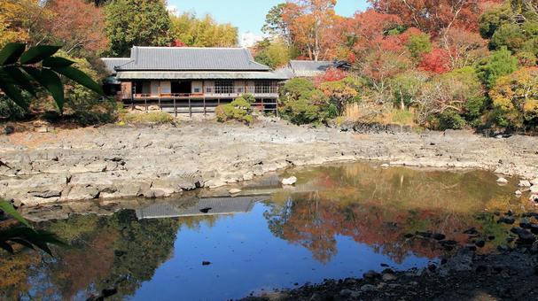 紅葉の頃　水位が低下した小浜池と楽寿館 紅葉,秋,もみじの写真素材