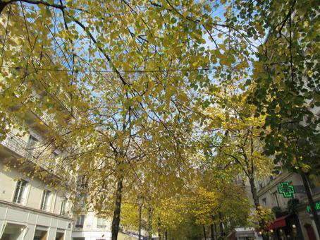 フランス、パリの街並み(町並み) フランス、パリの街並み(町並み)の写真