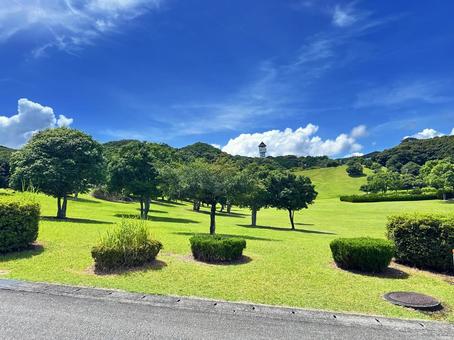 公園 夏の風景 公園 夏の風景 太地町森浦,公園,公共施設の写真素材