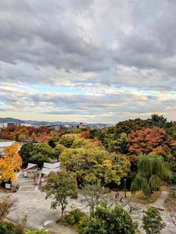 京都 風景 京都 風景 京都,京都旅行,梅小路公園の写真素材