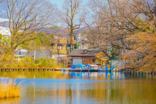 善福寺公園のボート小屋 ボート小屋,ボート,湖の写真素材