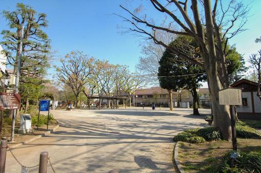 秋晴れの城山公園 秋晴れの城山公園 城山公園,公園,秋晴れの写真素材