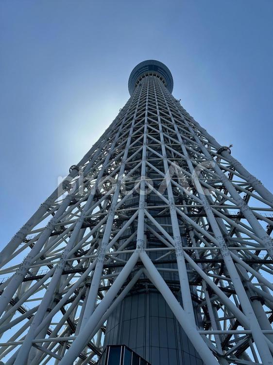 スカイツリーを見上げて スカイツリー,塔,お日さまの写真素材