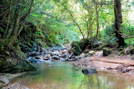 隠岐の島の中村川 隠岐の島の中村川の写真