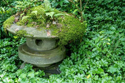 Photo, stone lantern, moss, retro, 