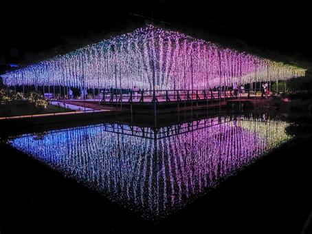 あしかがフラワーパークのイルミネーション あしかがフラワーパークのイルミネーションの写真