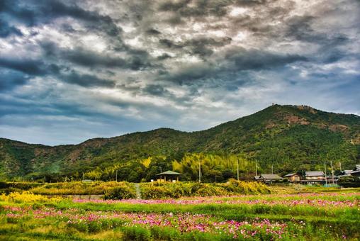 高御位山 播磨平野,山岳,平野の写真素材