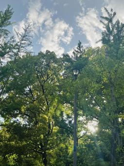 景色 景色の写真