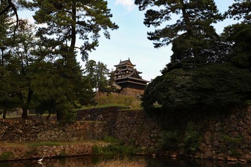 現存天守松江城19 現存天守松江城19 松江城,現存天守,松江市の写真素材