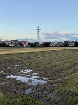 晩秋の田舎の夕暮れ　福井県あわら市 冬,地方,晴れの写真素材