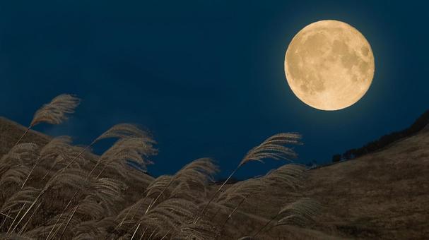 秋の十五夜のお月見|中秋の名月とすすき 秋の十五夜のお月見|中秋の名月とすすき 満月,十五夜,お月見の写真素材