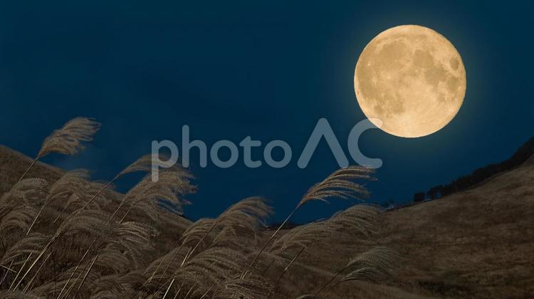 秋の十五夜のお月見｜中秋の名月とすすき 満月,十五夜,お月見の写真素材
