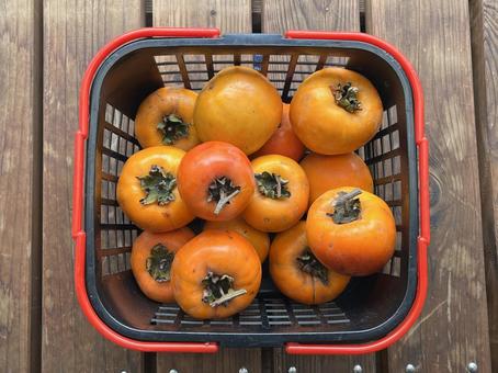 かごに入った柿 柿,甘柿,渋柿の写真素材