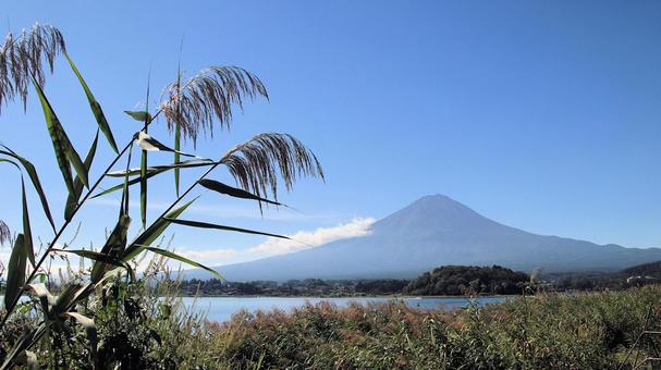 初秋の河口湖大石公園から望む富士山 初秋の河口湖大石公園から望む富士山 富士山,初秋,9月の写真素材
