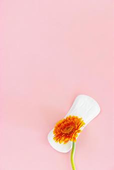 生理用ナプキンとに花が重なっている 生理,月経,生理用品の写真素材