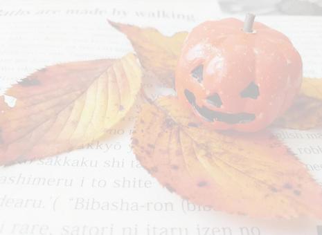 パンプキンと落ち葉の背景2 パンプキンと落ち葉の背景2の写真